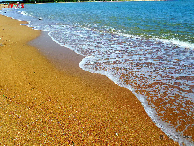 老伙计海鲜酒家_奕景海鲜酒家_京新酒家(2)