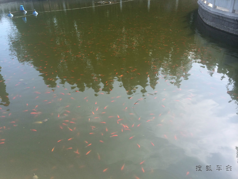 青岛河北路海鲜_青岛海鲜美食图片大全_海鲜小炒(3)