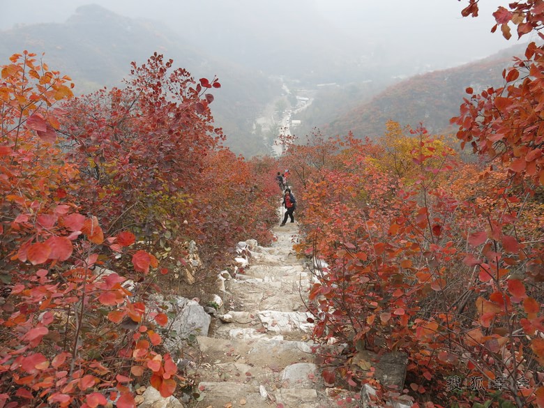 【秋思】房山泗马沟红叶