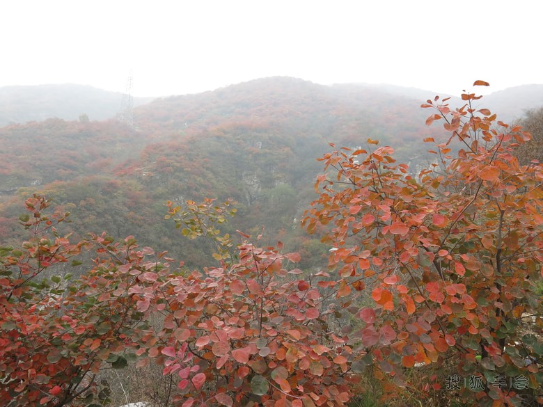 【秋思】房山泗马沟红叶