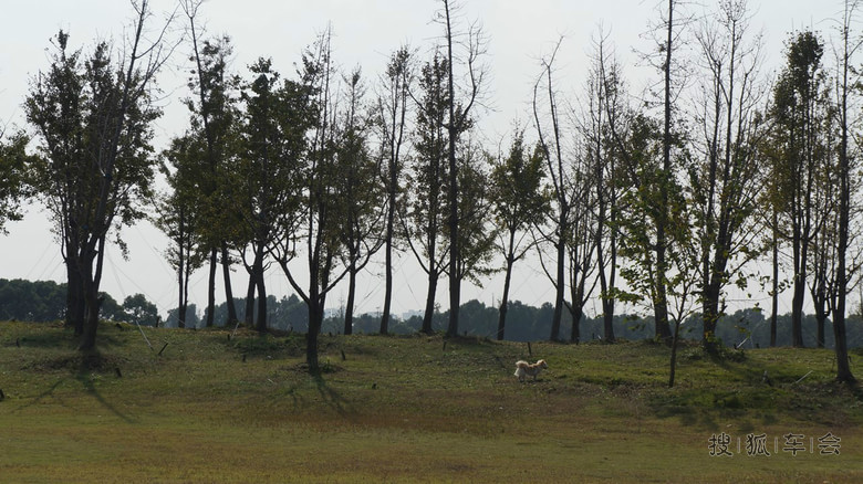 开着瑞虎上草原:看看飞机放放狗,自然还要拍