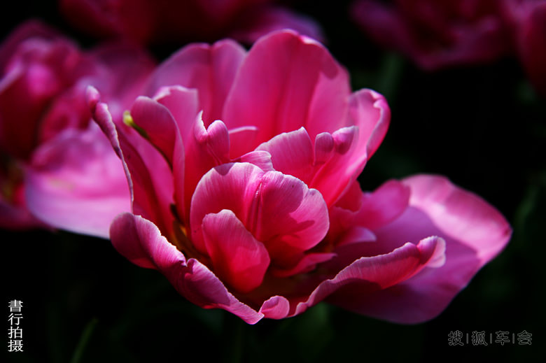 【比亚迪】2014年11月份打卡签到专用贴!