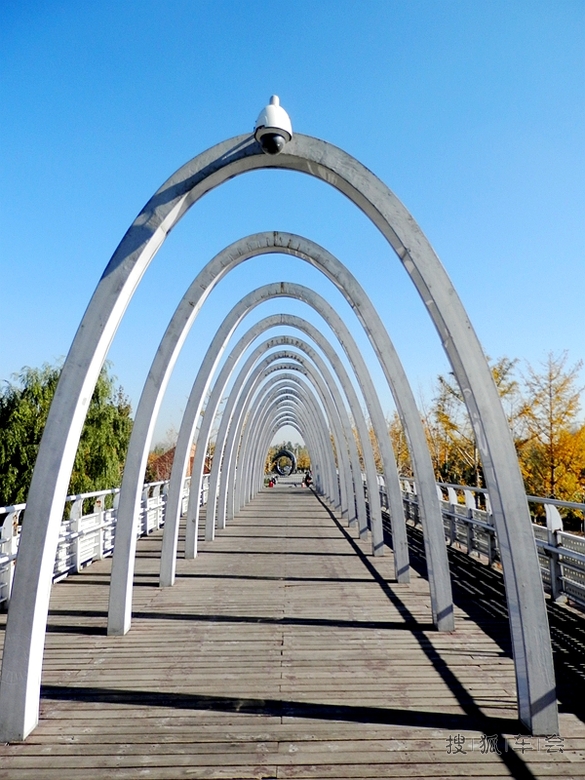 [摘秋日红叶]秋游念坛公园_北京大兴车友会_搜狐车友会