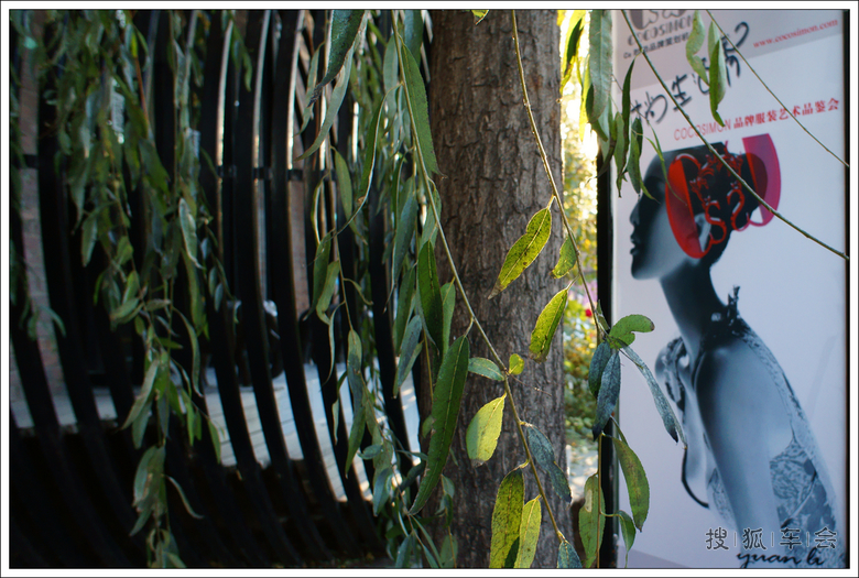 上面开会我放假总算可以逛逛798了_玩吧_搜狐