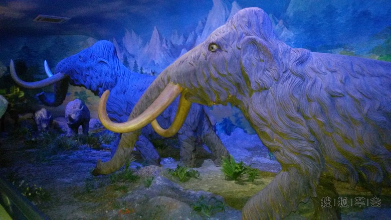 【我眼中的世界~中国第四纪冰川遗迹陈列馆_