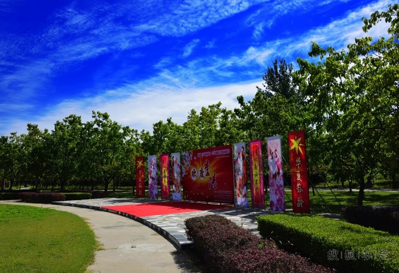 大兴古桑森林公园