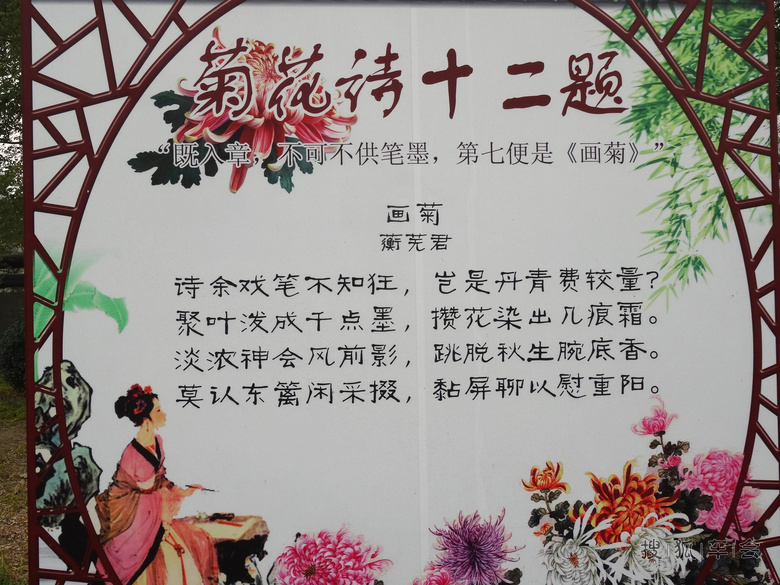 待到秋来九月八,我花开后百花杀