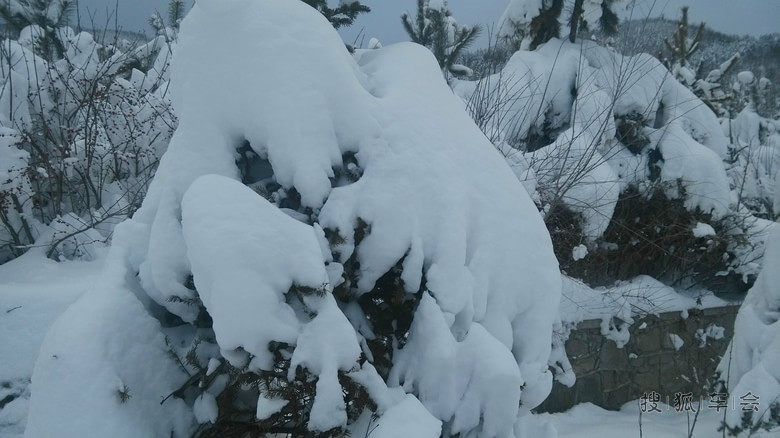 70后大叔的二手花冠购车路(认证贴)