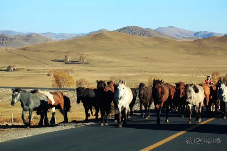 [原创]马儿啊你慢些走_安阳车友会_搜狐车友会