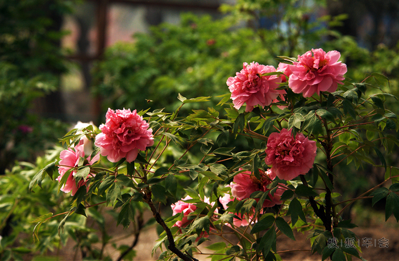 冬天到啦,春天还会远吗。