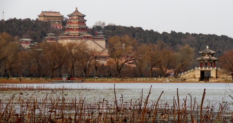 【摄影交流11月134】不是因为寂寞才想你_北