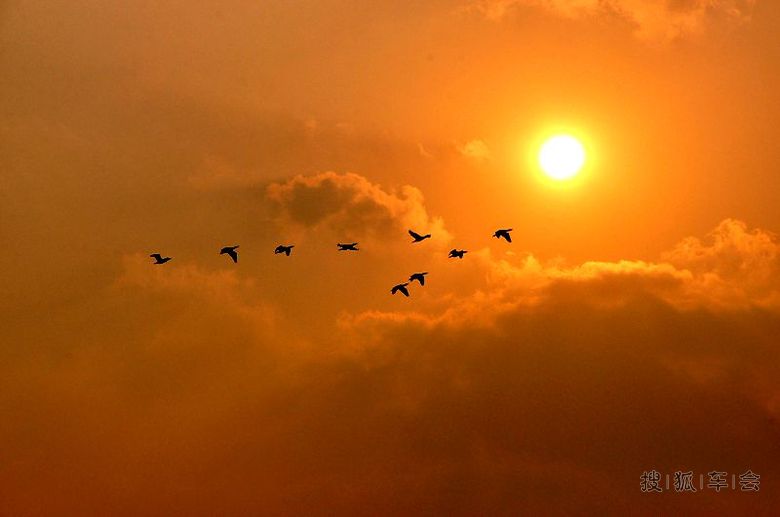 面瓜也想当大湿