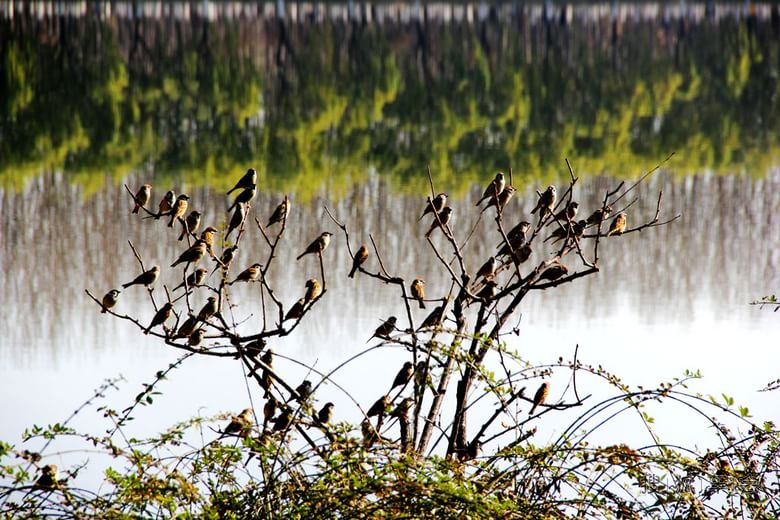 通州区最好的休闲场所通州大运河
