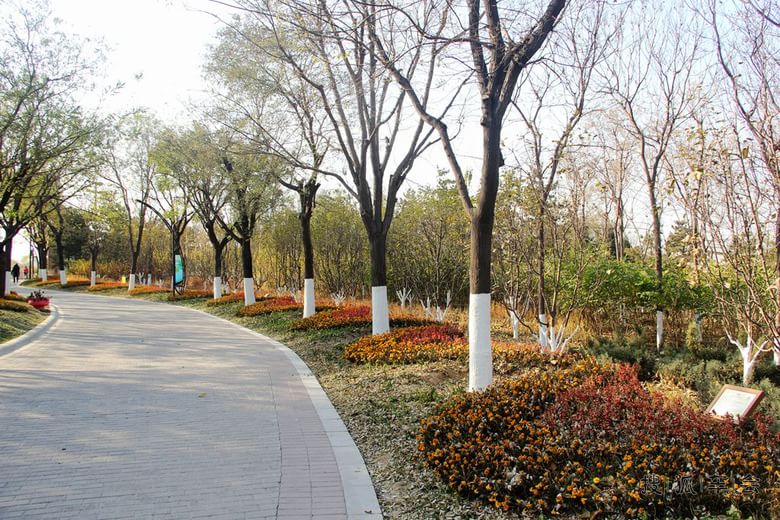 通州区最好的休闲场所通州大运河