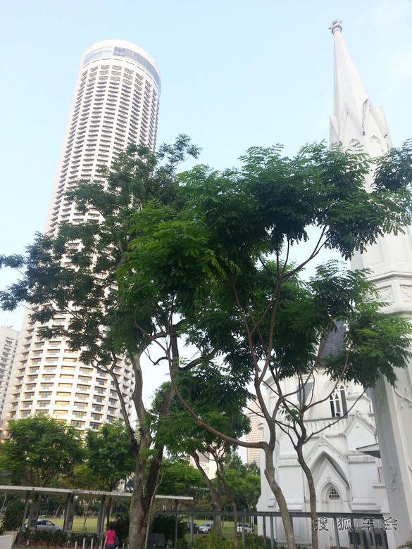[腾云写手]新加坡圣安德烈教堂_迈腾-腾云社