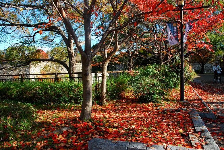 东瀛枫情,非常本州之六 大阪城公园(不登城)