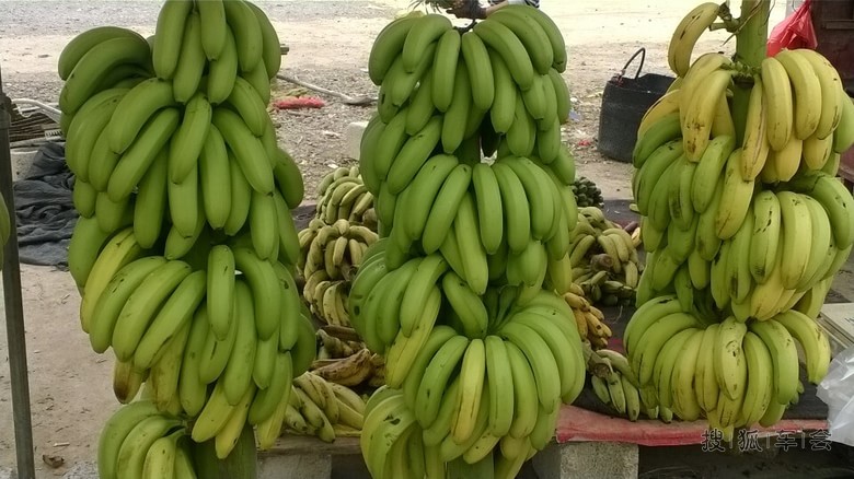 这样的香蕉你敢吃吗?