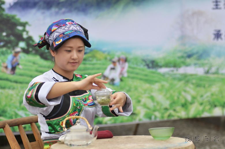 茶歌会上随拍_港澳自由行_搜狐车友会