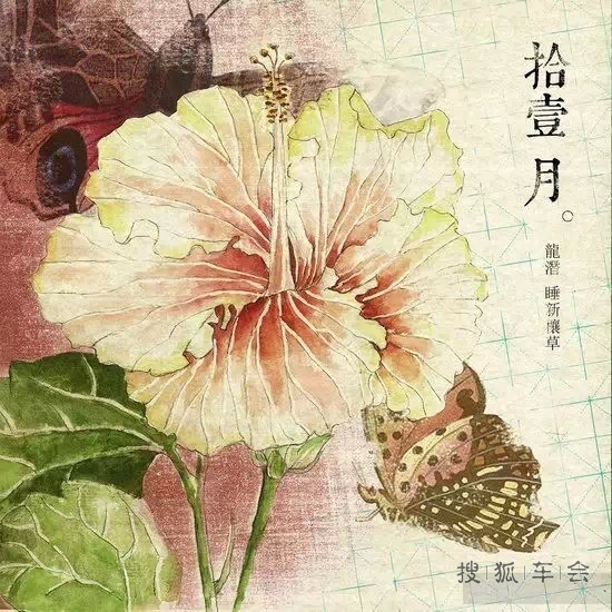 十二个月，十二句话_比亚迪车友会_搜狐车友会