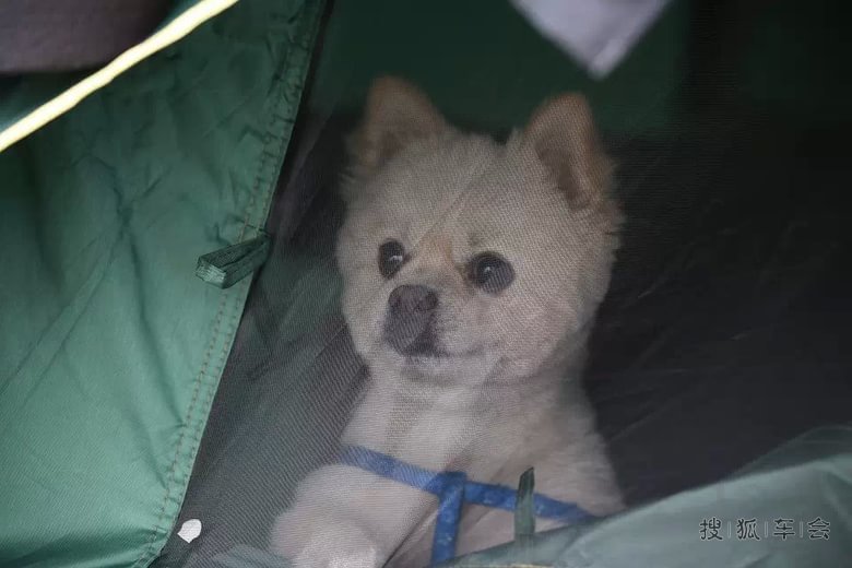 秋日里的官港森林公园!