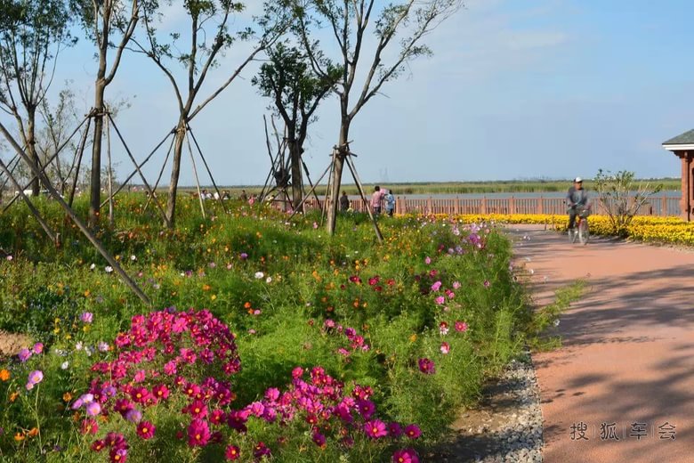 秋日里的官港森林公园!