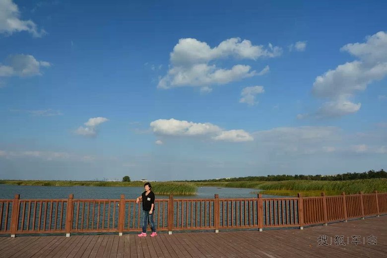 秋日里的官港森林公园!