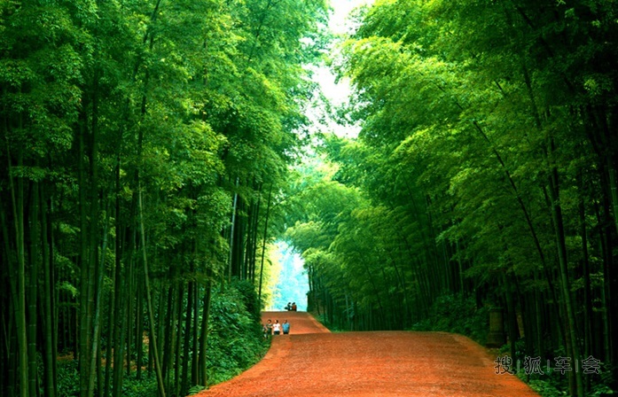 竹海与石海的交相辉映--宜宾3日自驾游