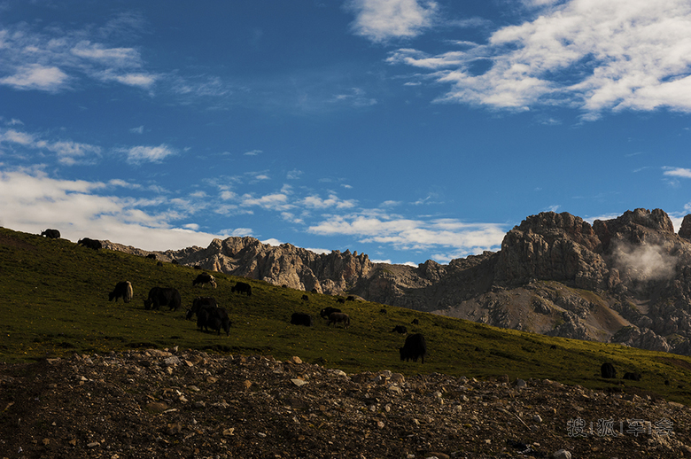 成都自驾1200公里,黄龙、若尔盖乱游记!