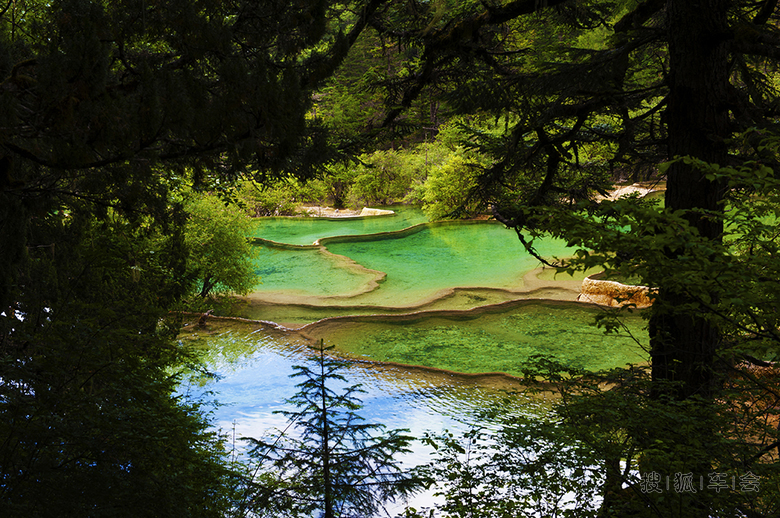 成都自驾1200公里,黄龙、若尔盖乱游记!