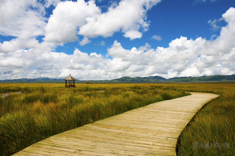 成都自驾1200公里,黄龙、若尔盖乱游记!