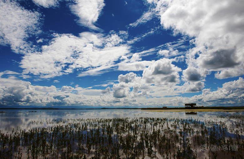 成都自驾1200公里,黄龙、若尔盖乱游记!