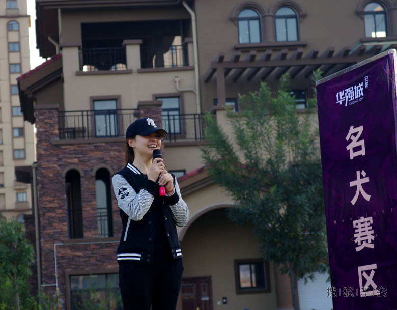 有一种狗叫灵缇犬