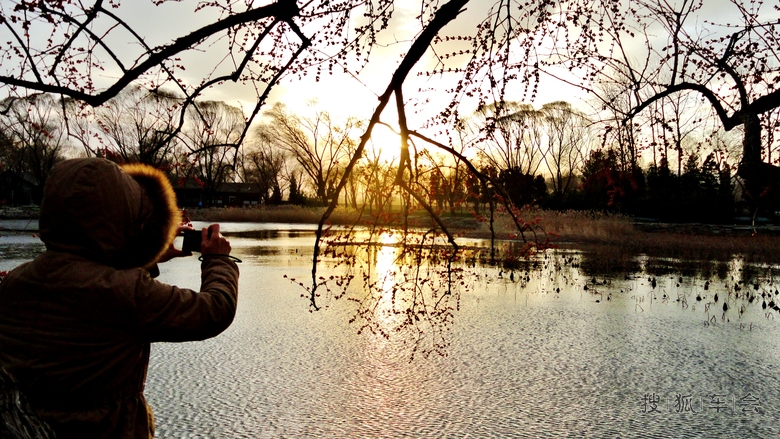 不是因为寂寞才想你