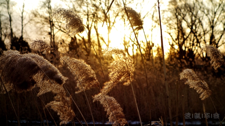 不是因为寂寞才想你
