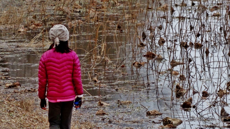 不是因为寂寞才想你