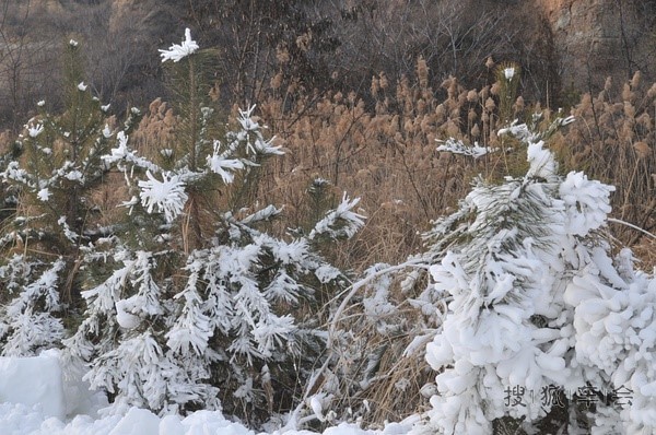 山西滑雪情缘:太原妹子在梅苑南山的siao气劲