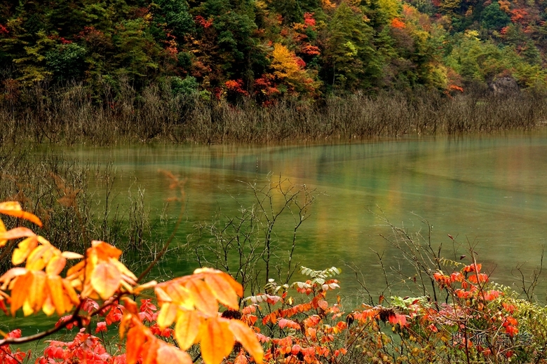 树阴照水爱晴柔