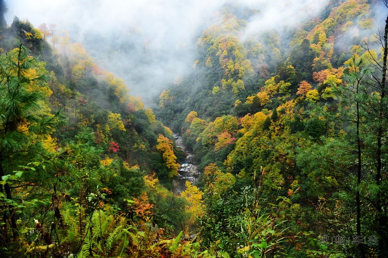 上月A派克期间自驾去了趟光雾山--大小兰沟