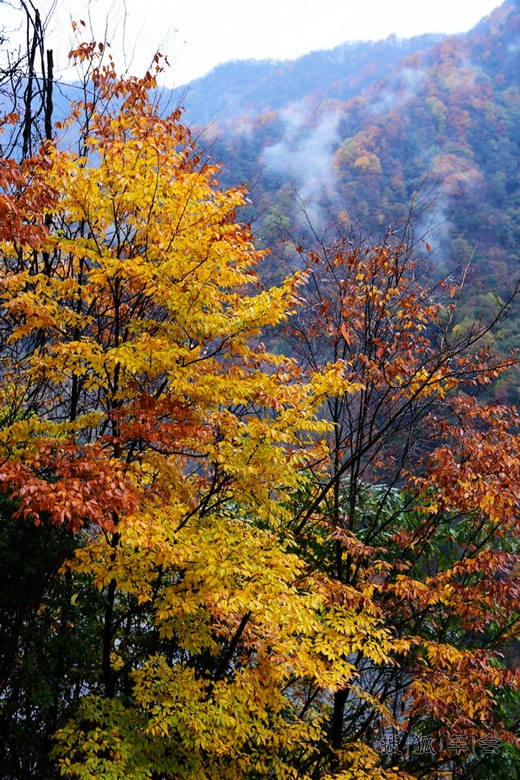 上月A派克期间自驾去了趟光雾山--大小兰沟