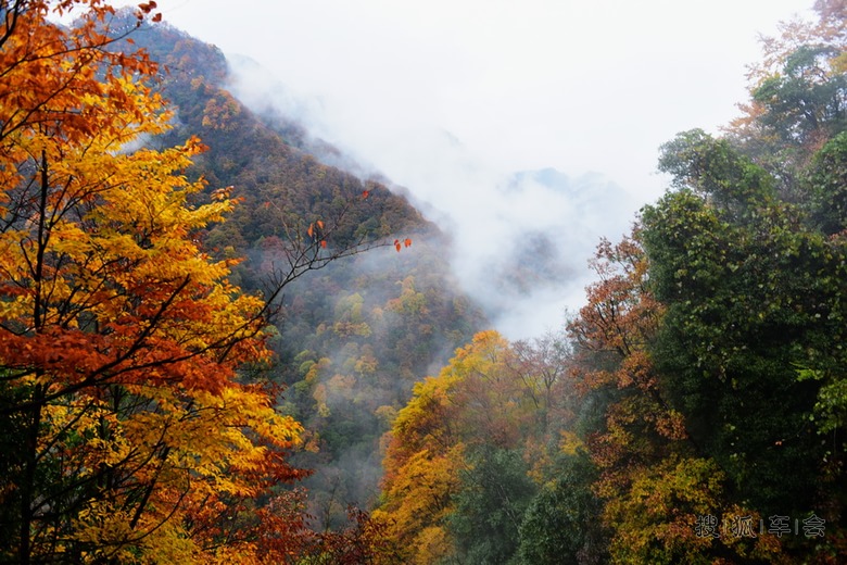 上月A派克期间自驾去了趟光雾山--大小兰沟