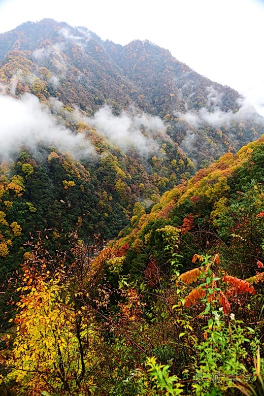 上月A派克期间自驾去了趟光雾山--大小兰沟