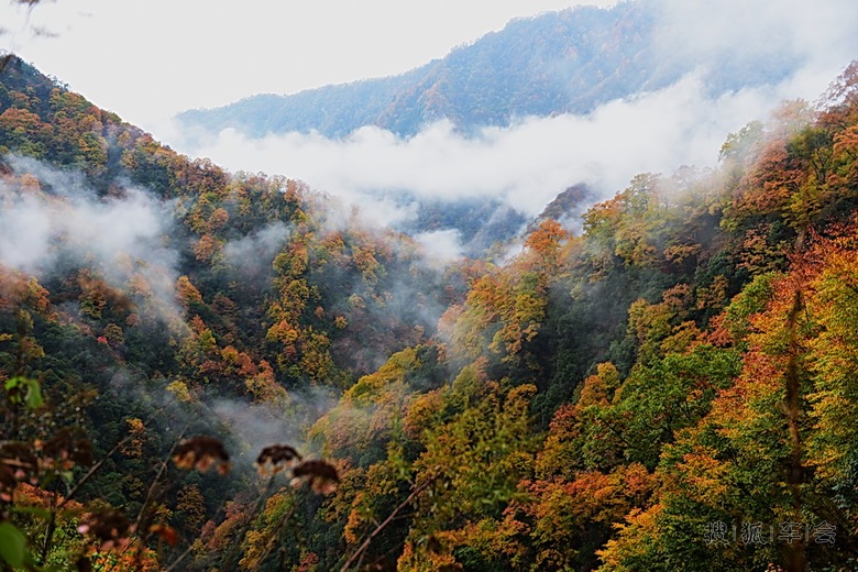 上月A派克期间自驾去了趟光雾山--大小兰沟