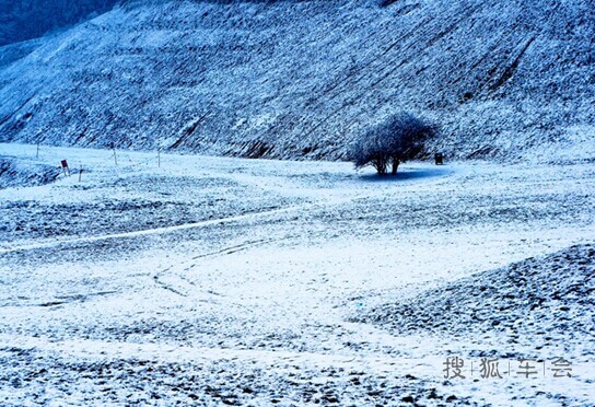 重庆冬季周边游:重庆四川最佳赏雪、玩雪地_重