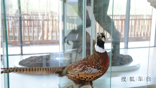 秦皇岛鸟类博物馆一日游