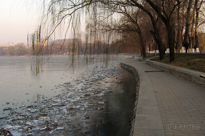 三九四九冰上走_斯巴鲁