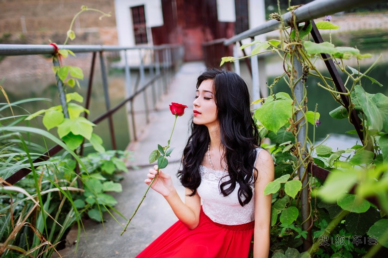 风中玫瑰_天下养生杂谈
