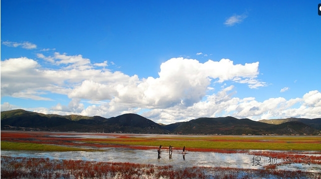 香格里拉纳帕海一日游
