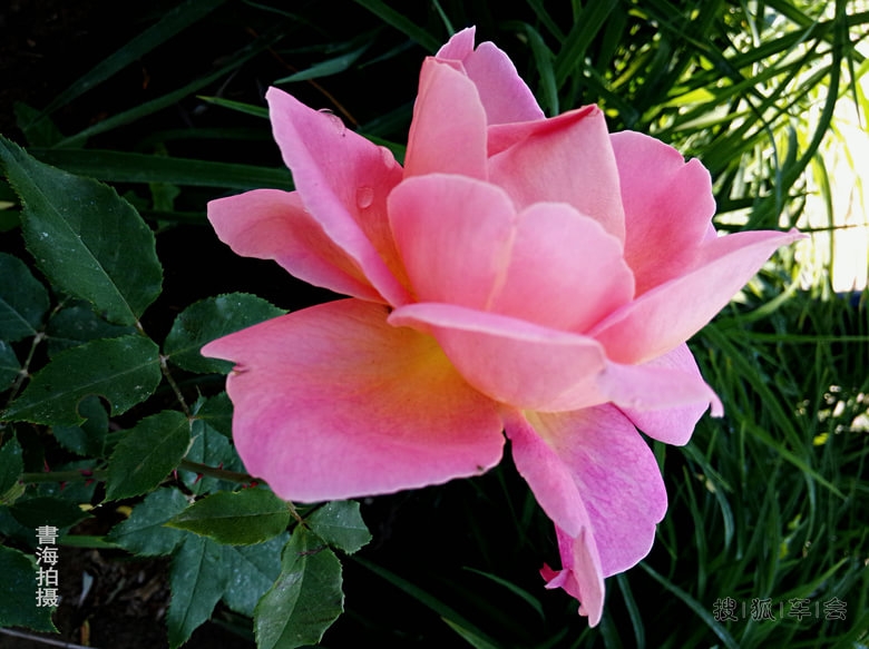 【比亚迪车友会】 2015年2月份打卡签到专用