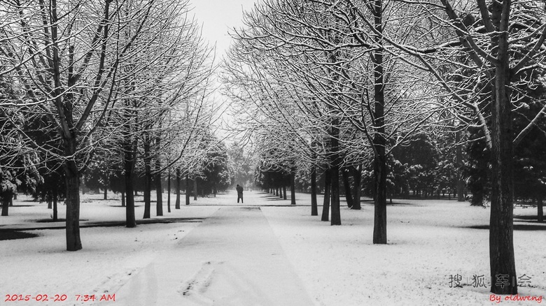 过年发在微信里的几张手机随拍
