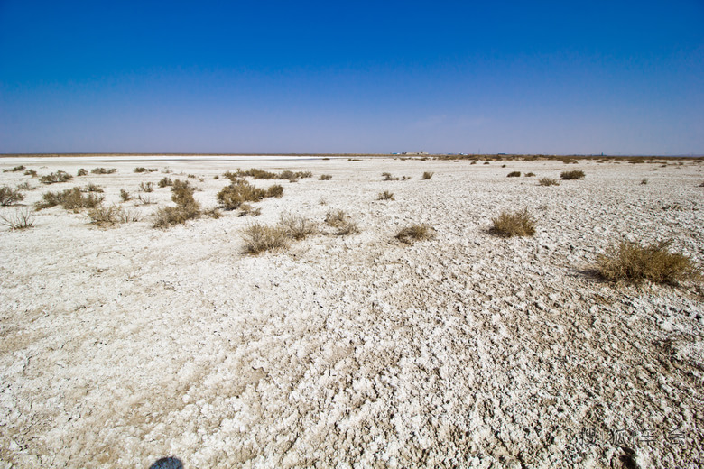 荒凉之美---我的戈壁滩之旅